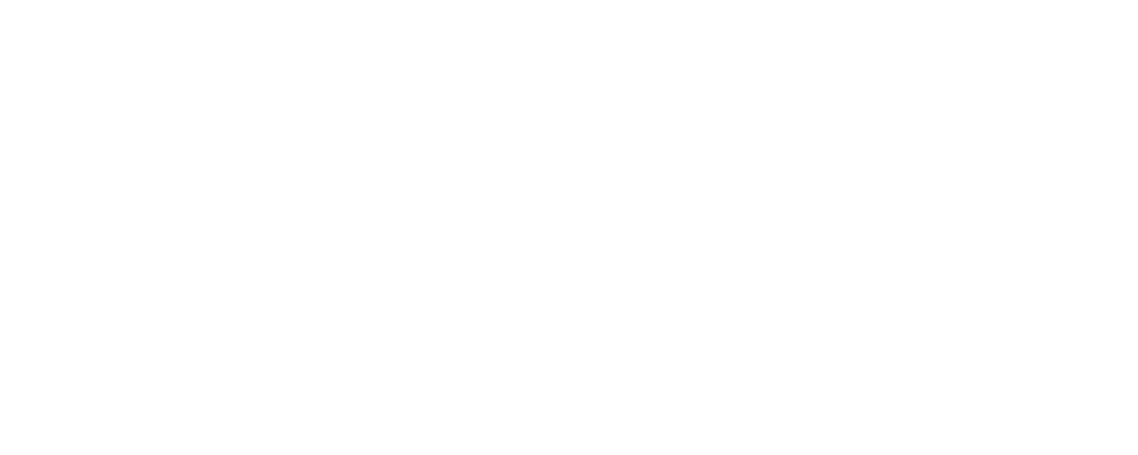 Car Service